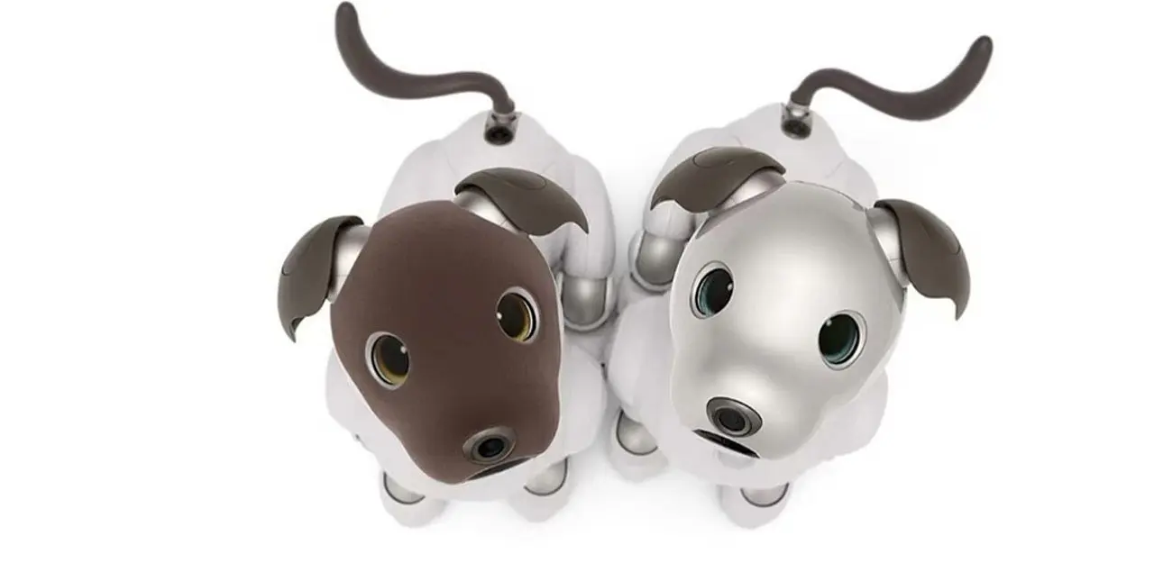 Aibo cane robot - Divulgazione