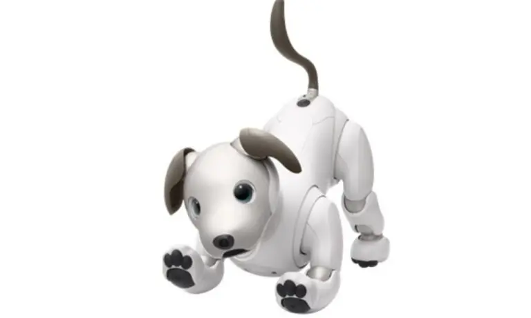 robô-cão aibo - Divulgação