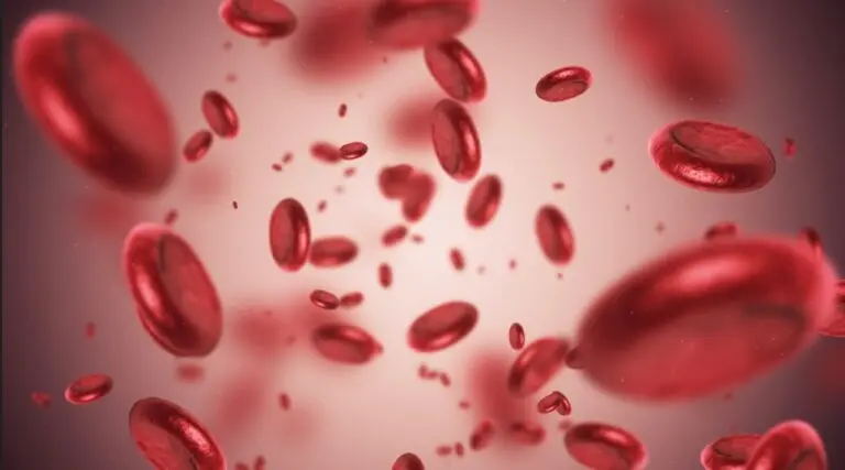 sangue