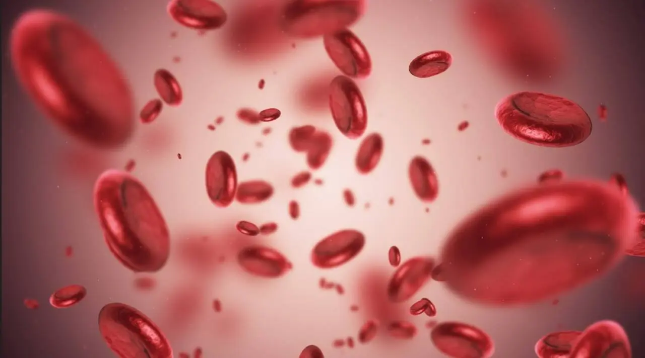 Understanding the impact: Scientists explain how psychological stress directly influences blood structure