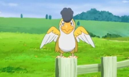 Squawkabilly pokemon