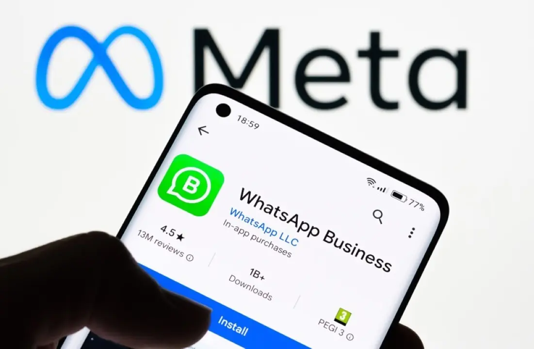 whatsapp business