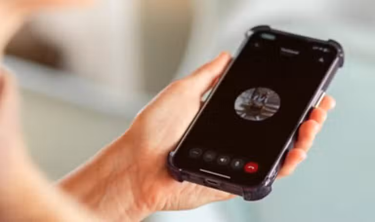 WhatsApp, ligação via WhatsApp - Kateryna Muzhevska / Shutterstock.com
