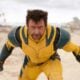 Wolverine - reprodução