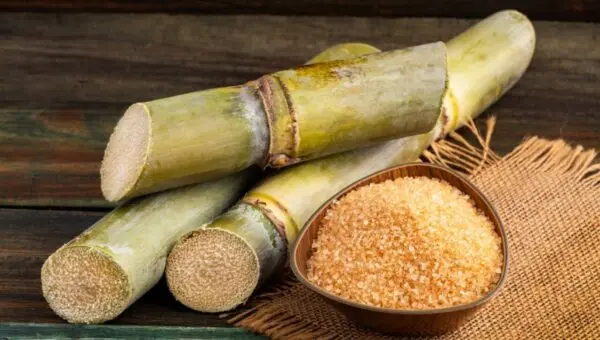 Açúcar mascavo, cana de açúcar