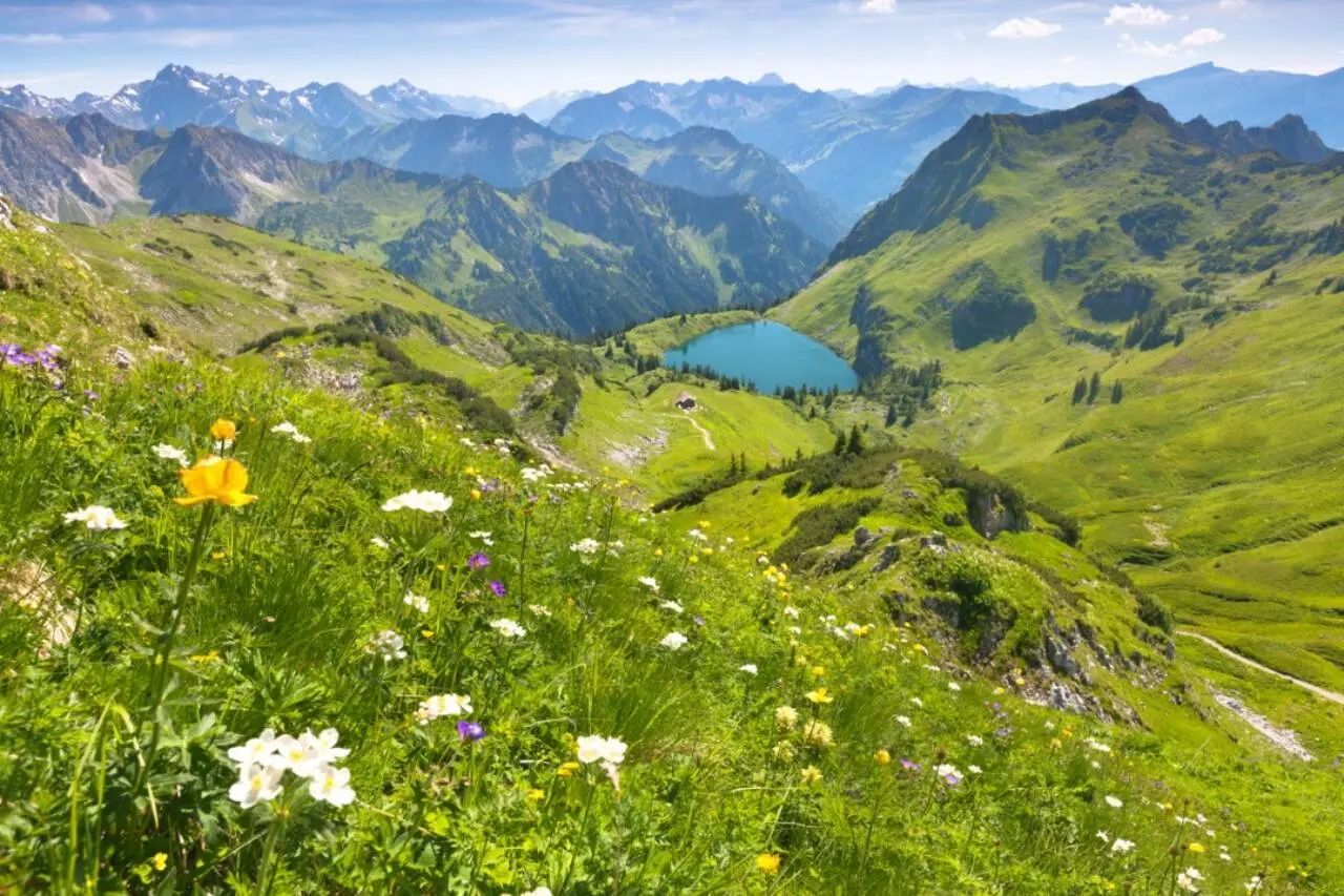 Allgäuer Alpen, Alpenmeer