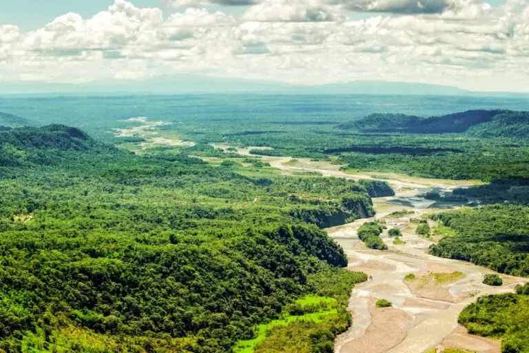 Amazônia