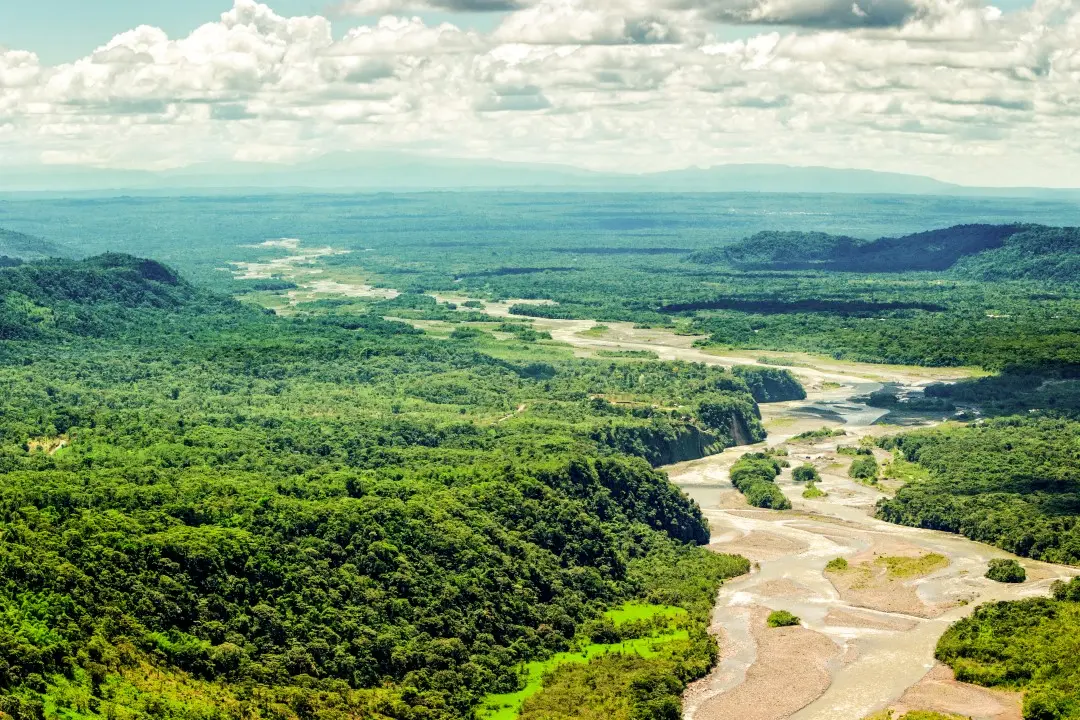 Amazônia