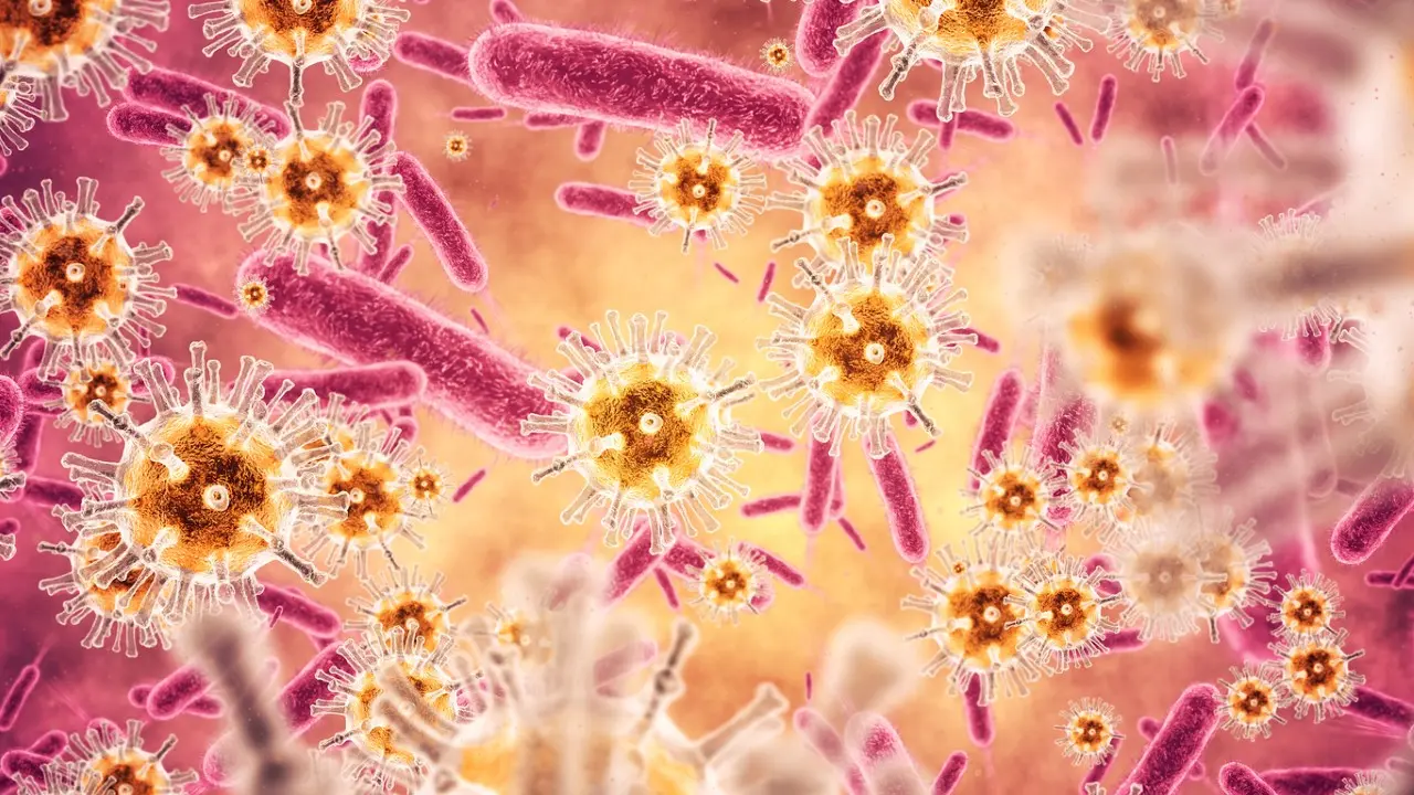 Bacteria, viruses, germs