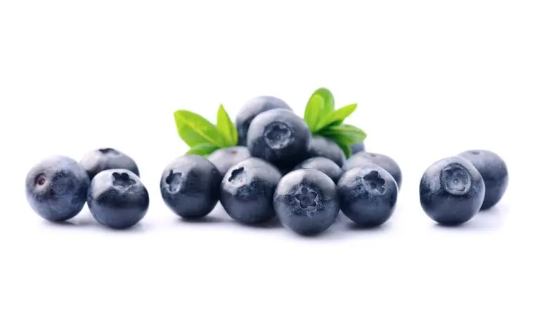 Blueberries