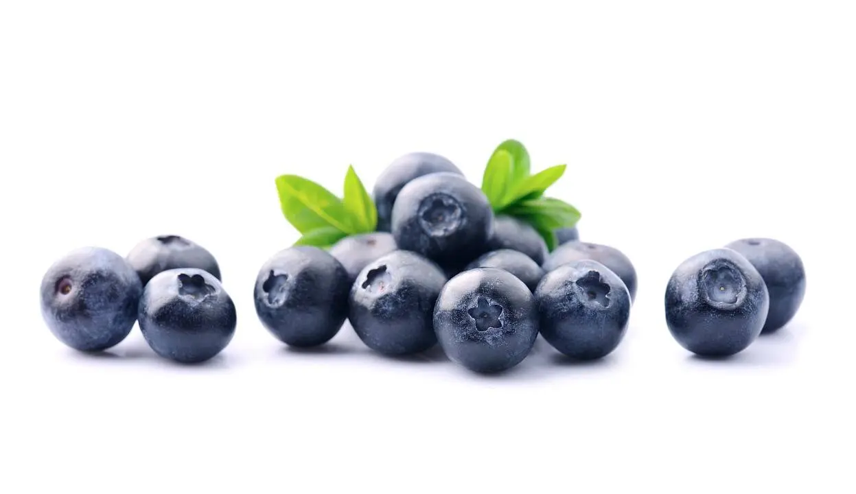 Blueberries