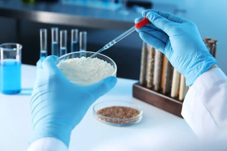 Cientista, arroz no recipiente, experimento