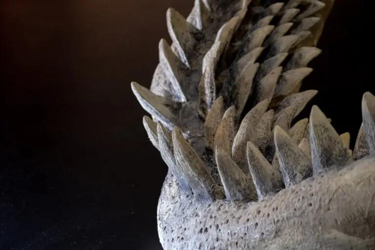 Dentes de tubarão-megalodonte