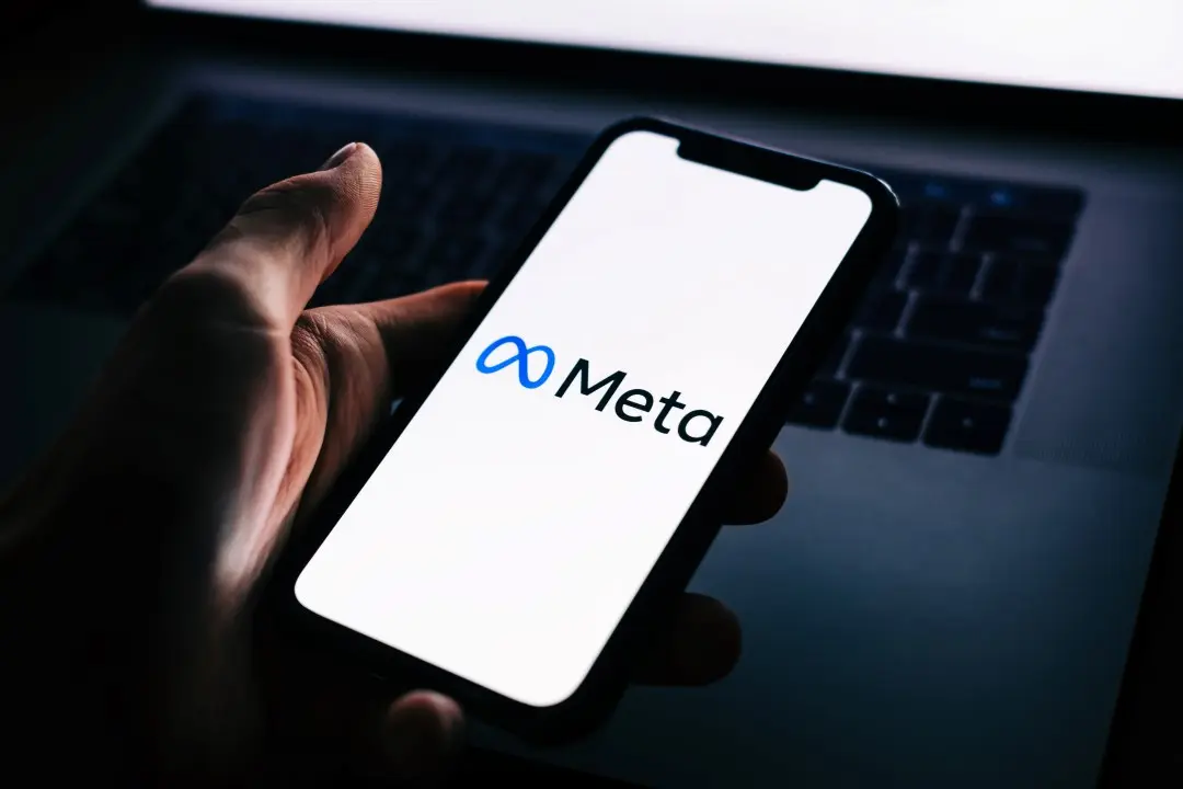 Meta - nikkimeel / Shutterstock.com