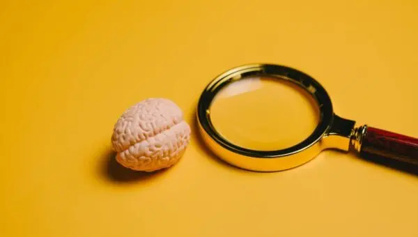 Modelo em miniatura do cérebro e lupa