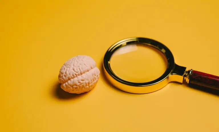 Modelo em miniatura do cérebro e lupa