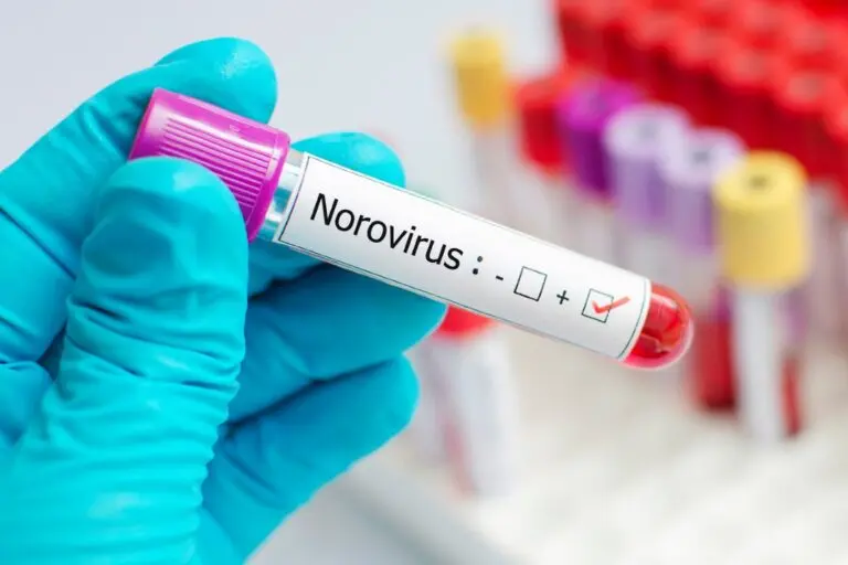Norovírus