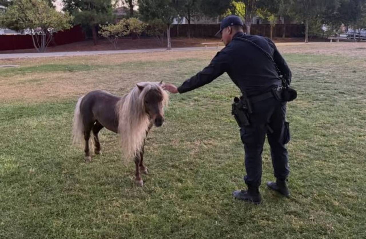 Policia de San Jose