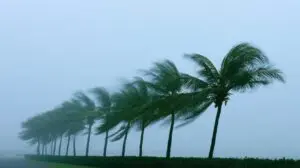 Satélite flagra olho de supertufão Dolphin com ventos de quase 300 km/h no Pacífico