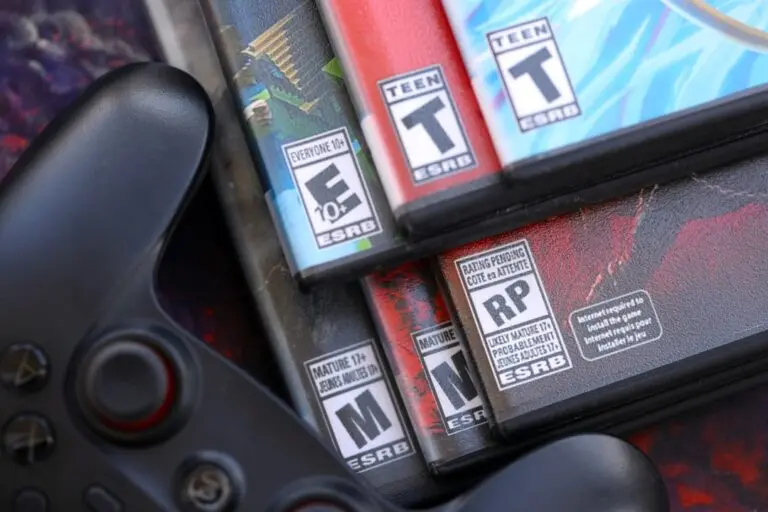 Video Gamer