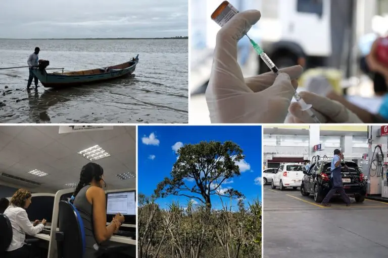 Queda do desmatamento, vacina contra a pneumonia no SUS e seguro defeso são destaque do Semana Gov