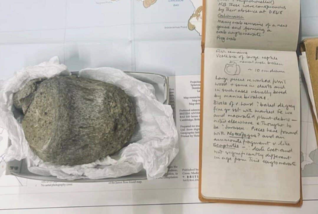 Caderno de campo geológico de 1985 pertencente a Thomson, do British Antarctic Survey, ao lado da primeira vértebra fossilizada de dinossauro - Divulgação/Copyright British Antarctic Survey