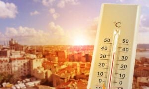 Calor