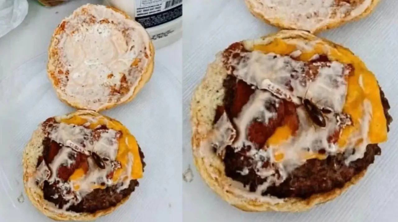 Cliente usa inteligência artificial para simular barata em lanche e pedir reembolso no Paraná — Reprodução
