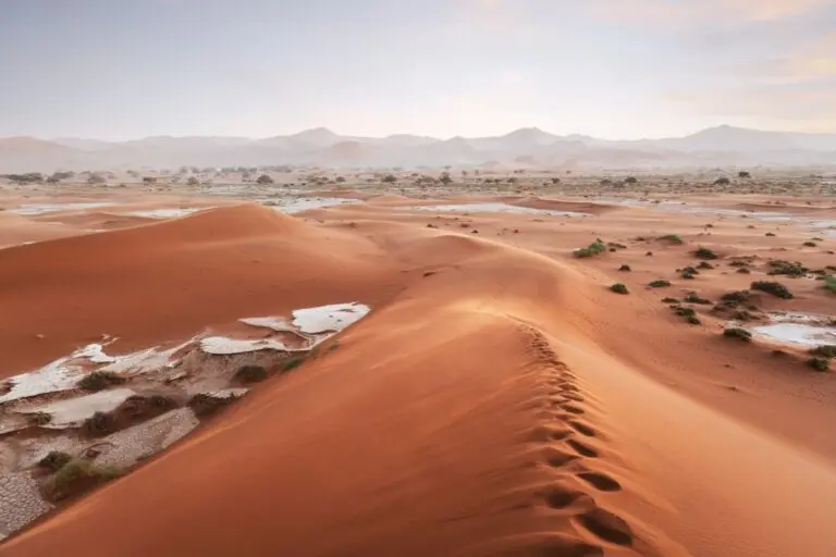 deserto