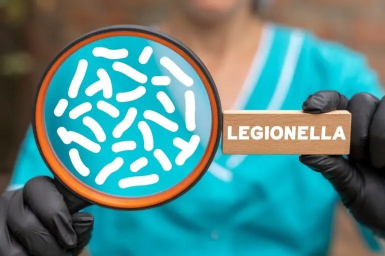 doença do legionário, pulmão, bactéria