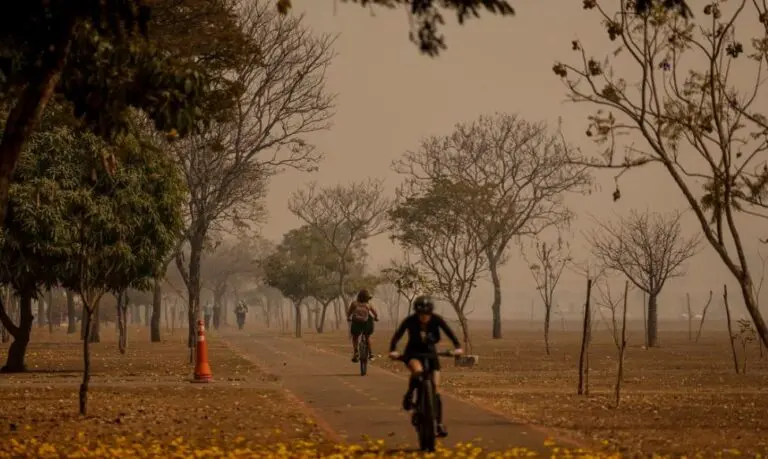 15 estados estão na lista de focos de calor e fumaça. Veja orientações para proteger a saúde