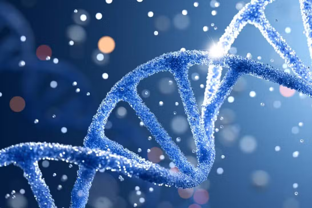 formato do DNA