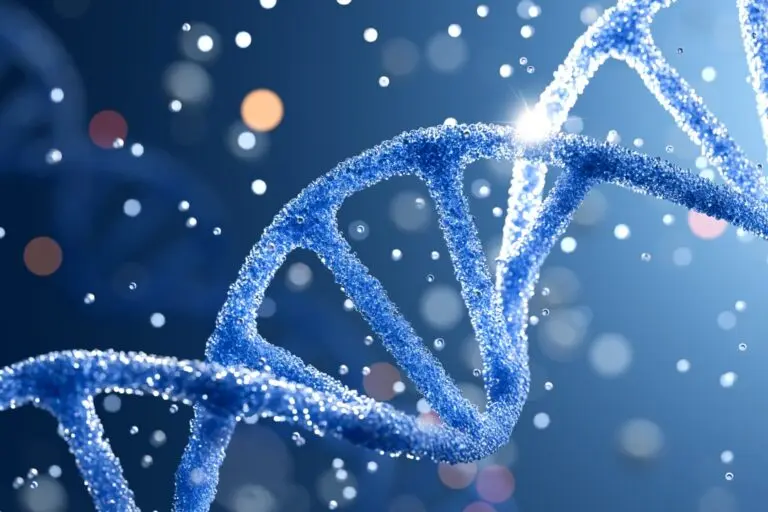 formato do DNA