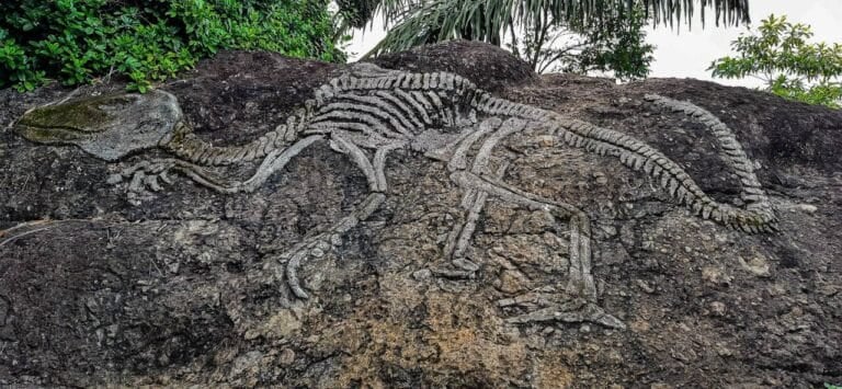 fóssil de dinossauro