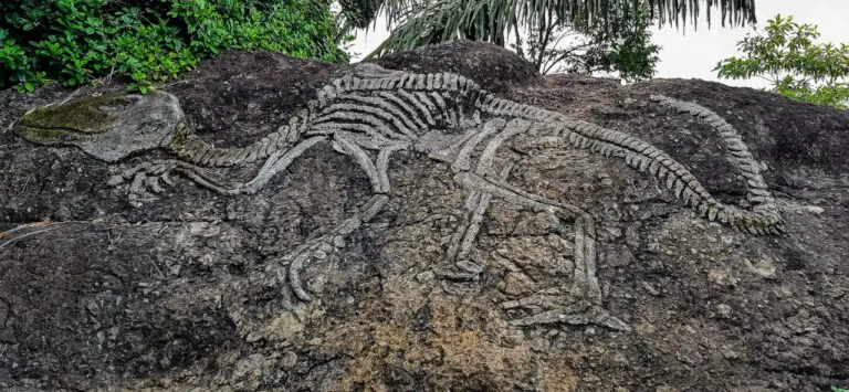fóssil de dinossauro
