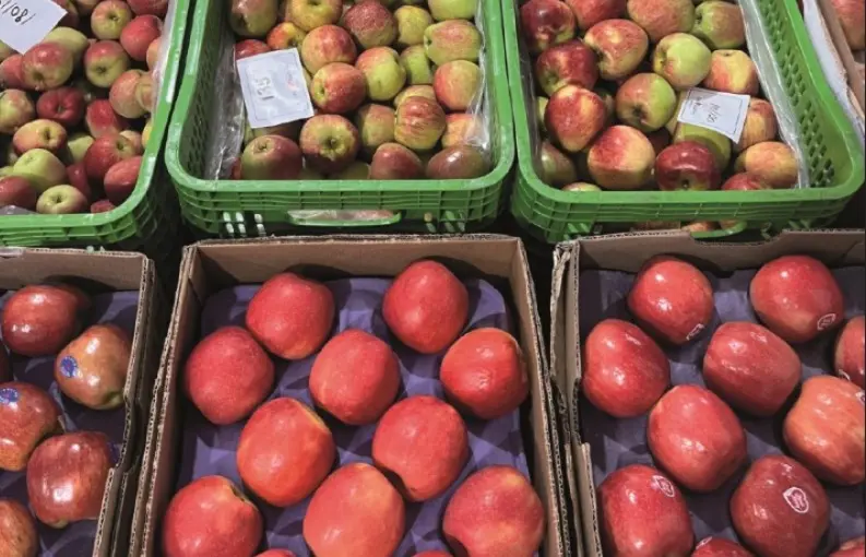 54 Ceasa's comercializaram 16,6 milhões de toneladas de frutas e hortaliças em 2025