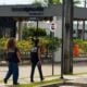 Idosa de 55 anos sem carteira - Divulgação Ministério do Trabalho