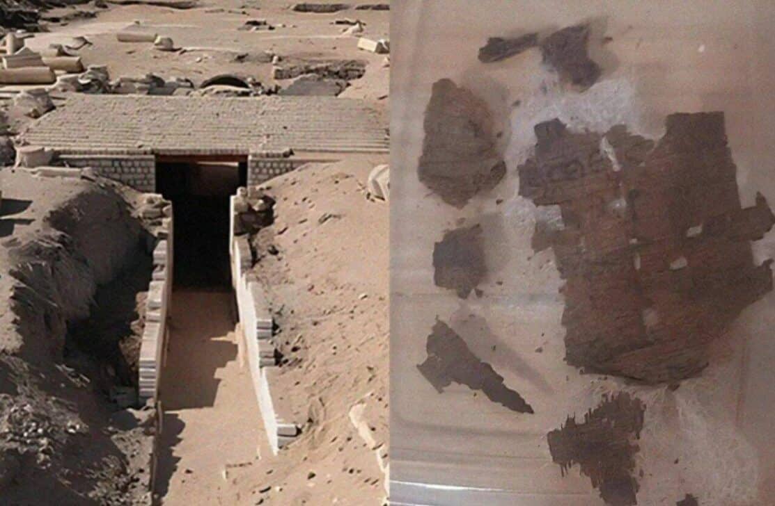 Homer's Iliad found inside mummy - Reproduction/UNIVERSITY OF BARCELONA