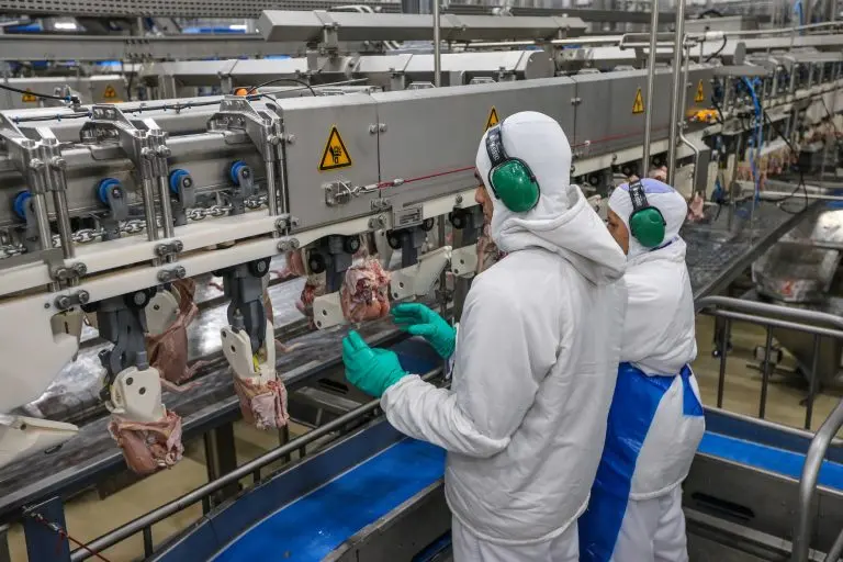 Agropecuária - geral - indústria exportação frango carne aves frigoríficos