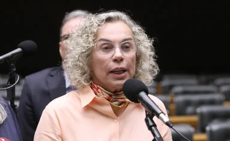 Discussão e votação de propostas legislativas. Dep. Ana Paula Lima (PT - SC)