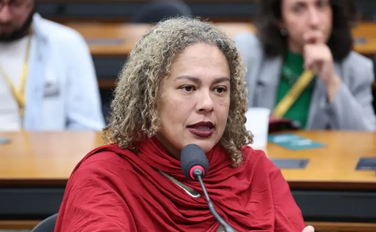 Audiência Pública - Questões que envolvem mudança climática e patrimônio. Representante do Conselho Internacional de Monumentos e Sítios Brasil, Luana Campos.