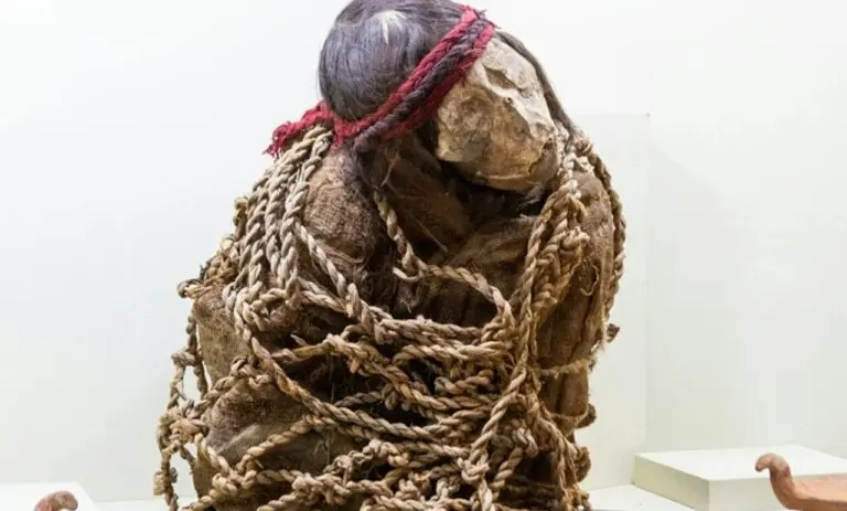 Múmia inca - Joao D'Andretta / Shutterstock.com