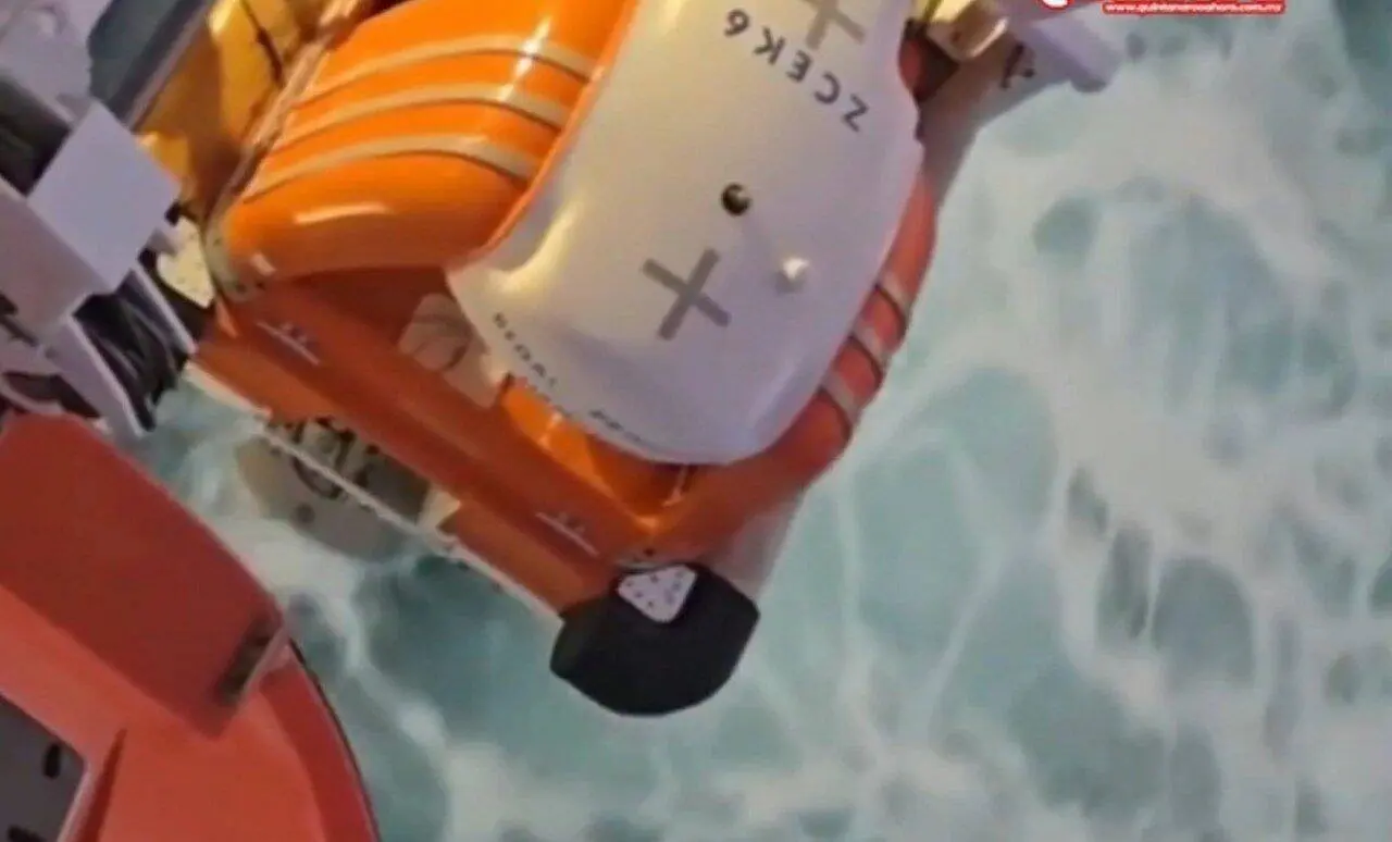 navio de cruzeiro Regal Princess - reprodução