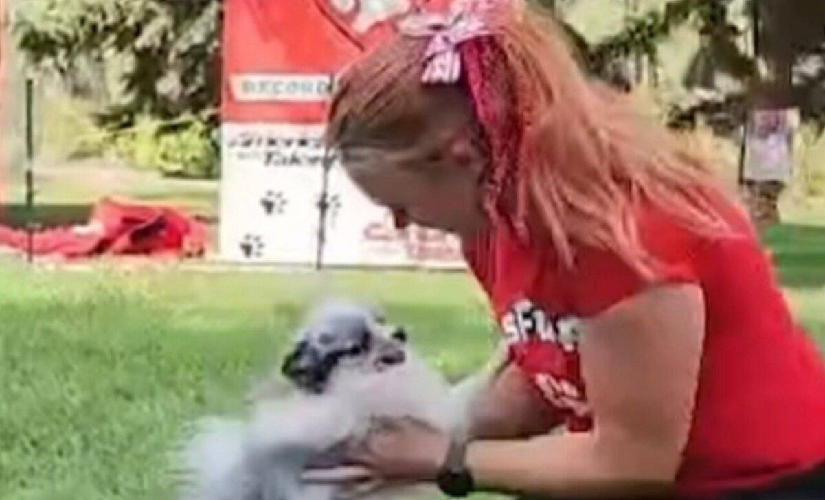 Pomerânia habilidoso conquista título no Guinness ao pular 10 vezes em tempo recorde - Instagram/guinnessworldrecords