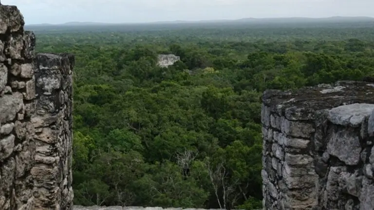 Selva Mexicana