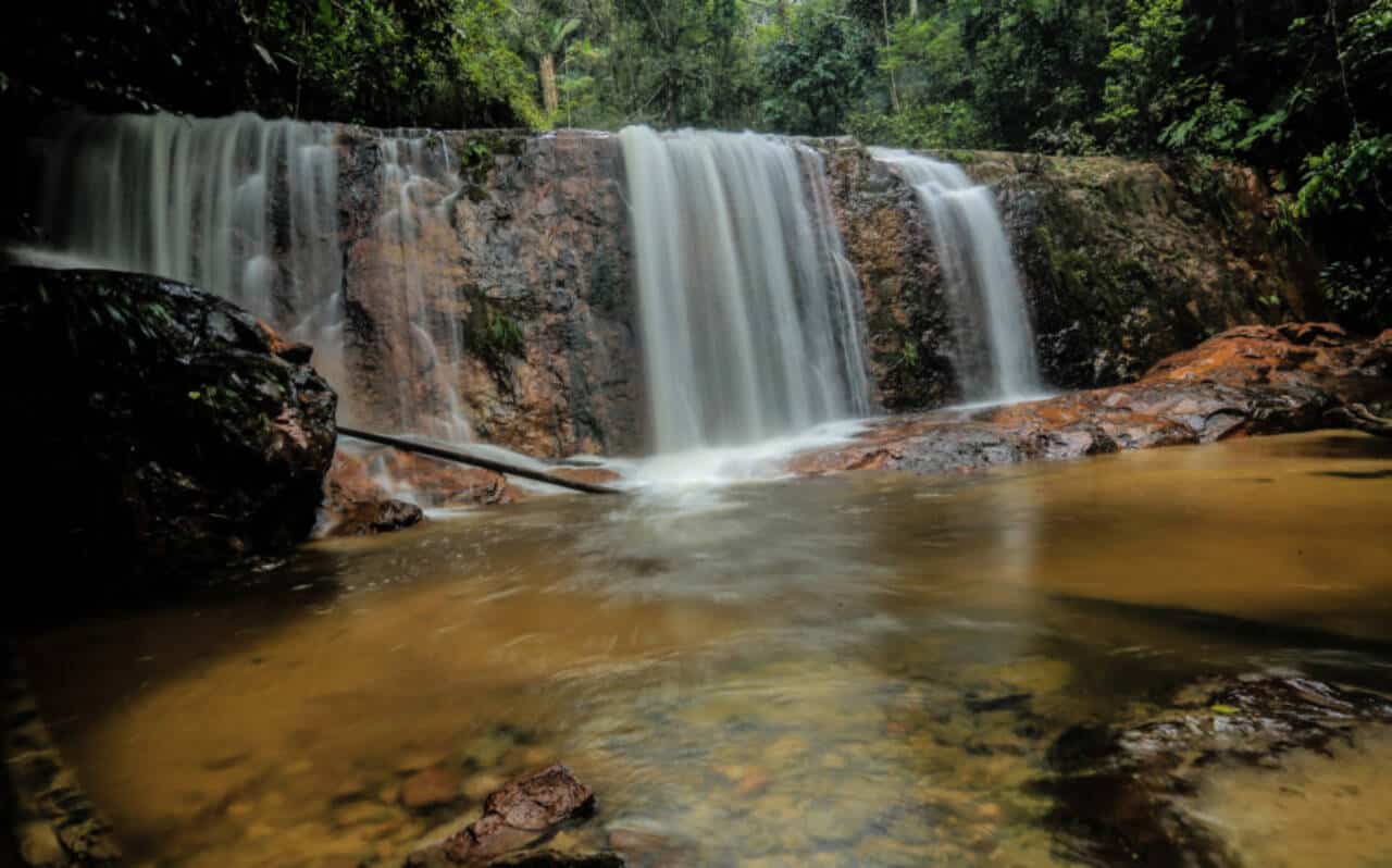 Nove estados, um bioma: descubra a diversidade do turismo na Amazônia brasileira