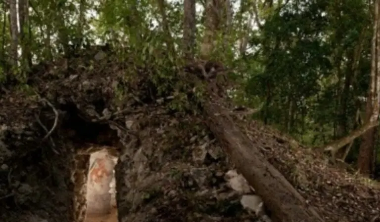 Sitio maias em Xultun