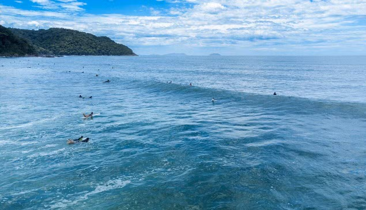 Surf Ubatuba - Joao D'Andretta/Shutterstock.com