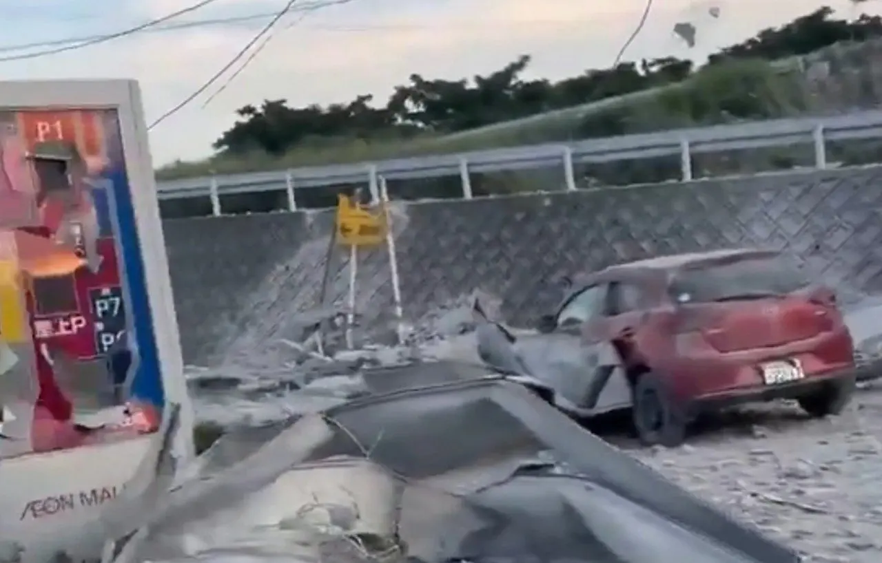 Terremoto no Japão - X