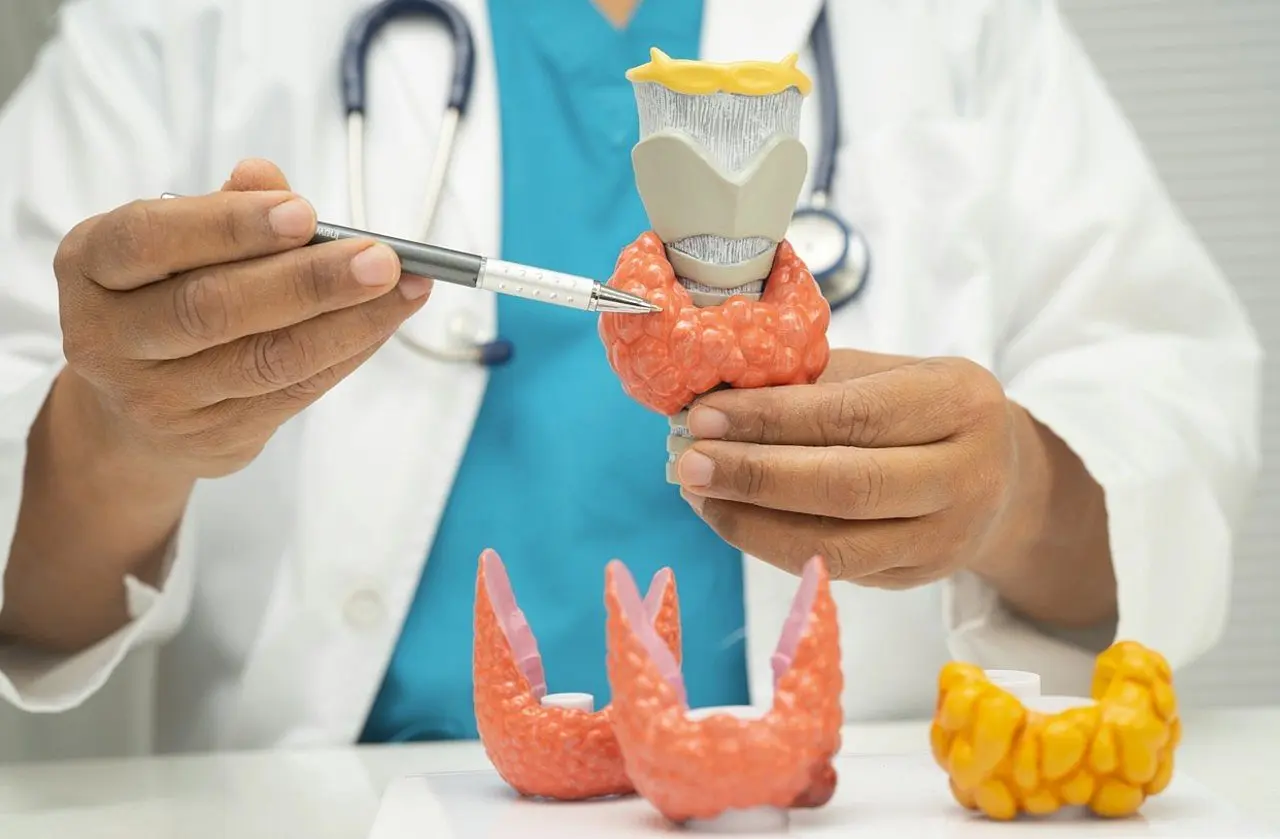 Tireoide - sasirin pamai/shutterstock.com